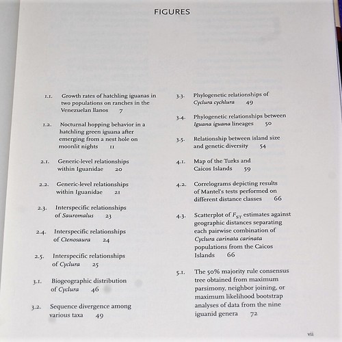 Iguanas : Biology and Conservation by Ronald L. Carter (2004, Hardcover) - Bild 5 von 6
