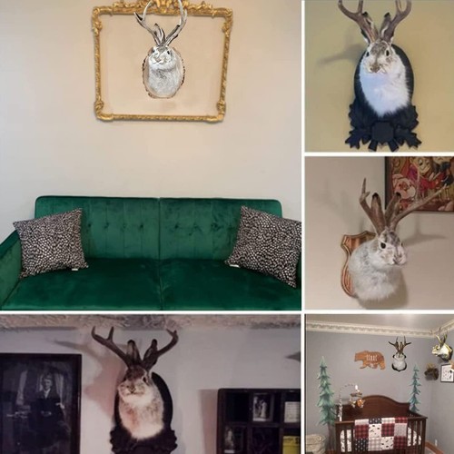 Jackalope Bunny Head Antlers Wall Hanging Decor Animal Wall Mount for Home Decor - Picture 6 of 8