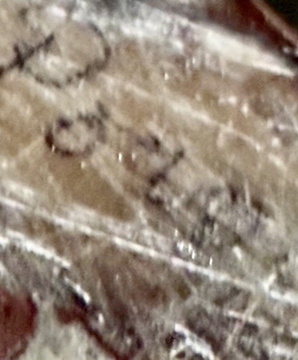 Picture 22 of 22