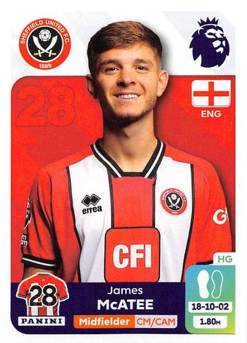 PANINI PREMIER LEAGUE 2024 STICKERS COLLECTION  #434 - #636 2023/24 - Picture 105 of 204