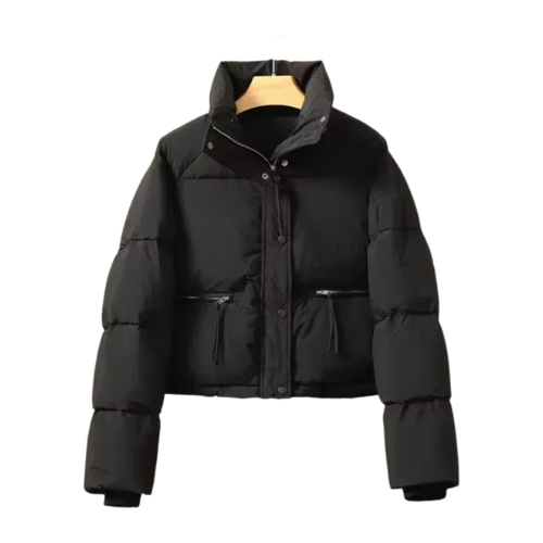 Women's Trendy Stand Collar Cotton-Padded Jacket – 2024 Winter Collection - Picture 5 of 15