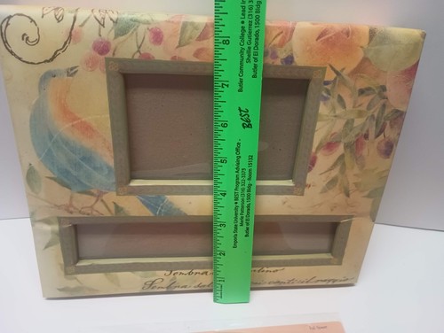 Nuevo álbum de fotos álbum de recortes de pasteles de pájaros toscanos carpeta de anillas pequeña 8" x 10" - Imagen 3 de 15