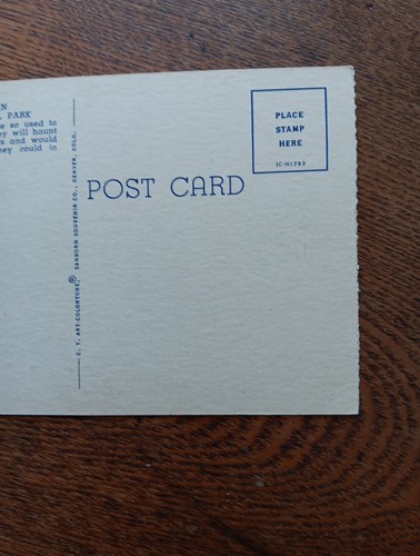 Holdup Bär im Yellowstone Nationalpark. Leinen Postkarte  - Bild 6 von 6