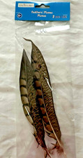 2 Pcs Natural Pheasant Tail Feathers Plumes 8 inch, Decoration, Crafting, Hats
