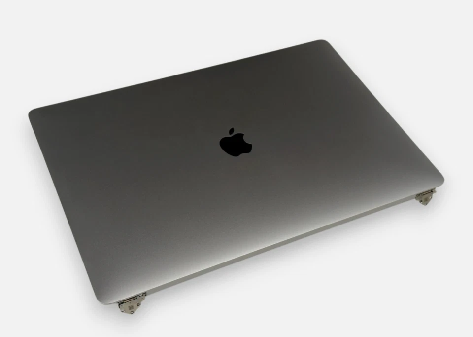 Ecran LCD pour Apple MacBook Pro 16 - 2019 - A2141 - Gris sideral - Photo 2/3