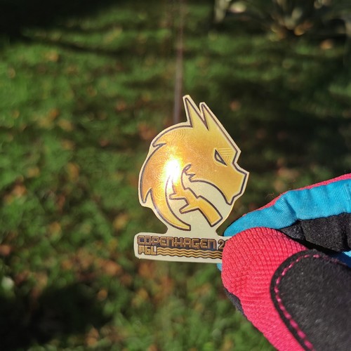 Team Spirit Gold Copenhagen 2024 CSGO CS Counter Strike CS2 Sticker - Picture 1 of 3