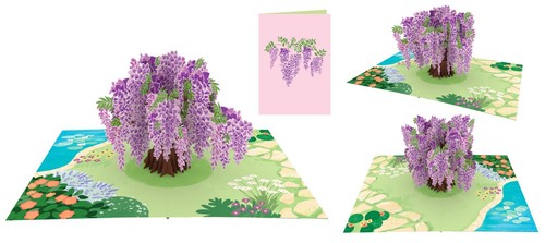Blumen & Bäume 3D Pop-Up Karte, lila Glyzinie, Natur & Gartenarbeit Geschenk - Bild 5 von 5