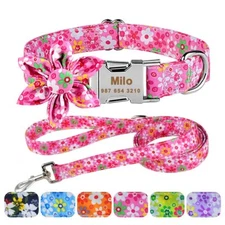 Flower Personalized Female Girl Dog Collar and Leash Lead Name ID Tag Engraved