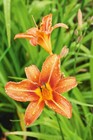 Bild 191 von 1.404