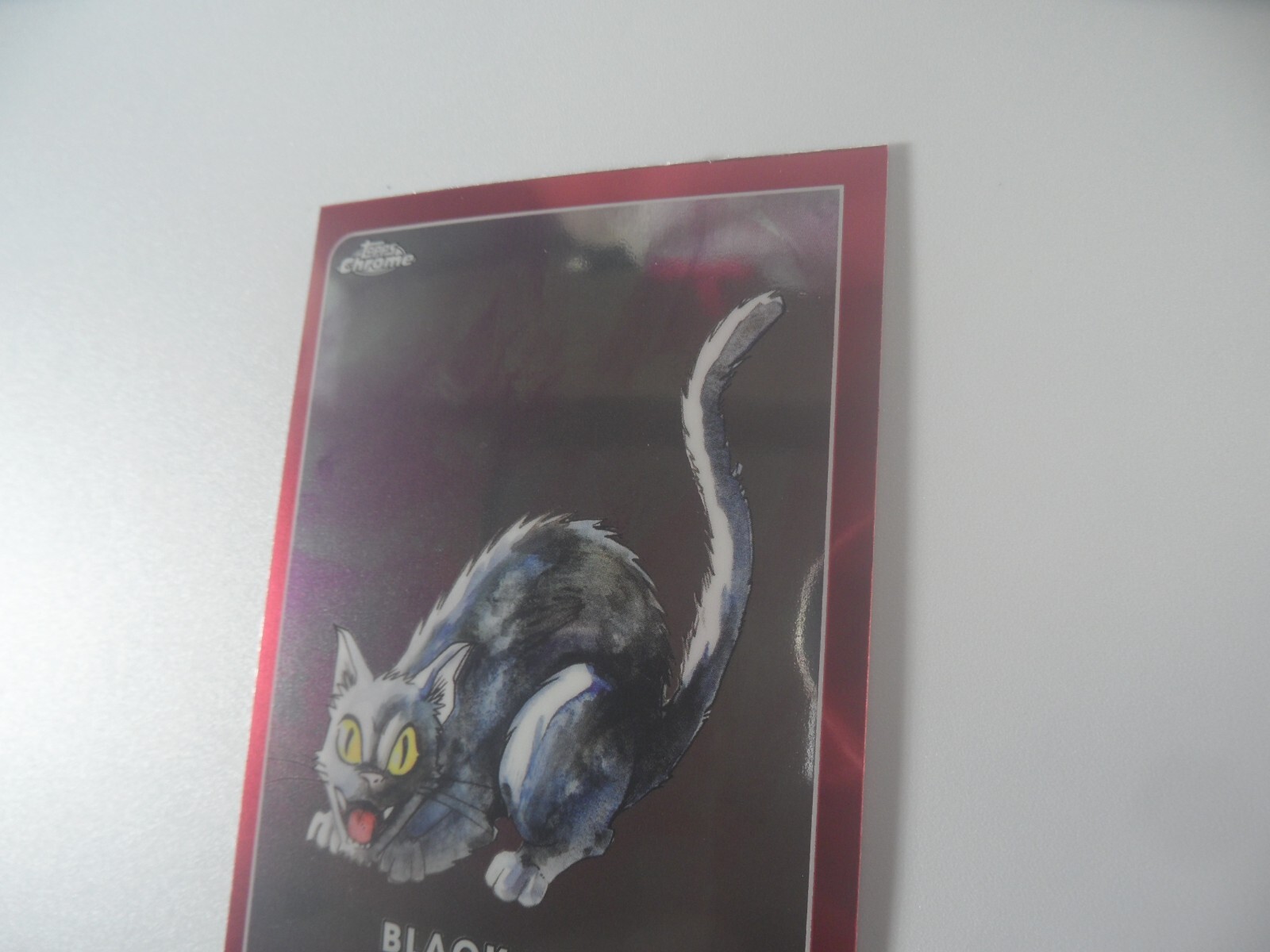 Picture 4 of 20