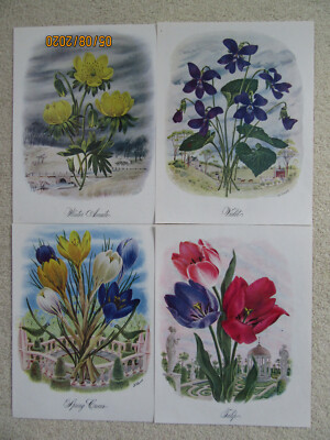 1948 Vintage Flower Pictures, Crocus, Violet, Tulip, Winter Aconite