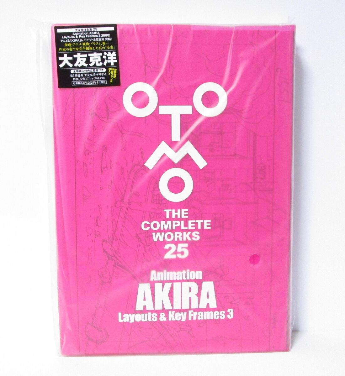 Animation AKIRA Layouts & Key Frames 3 (OTOMO THE COMPLETE WORKS 25) Animation AKIRA Layouts & Key Frames 3 (OTOMO THE COMPLETE WORKS 25)