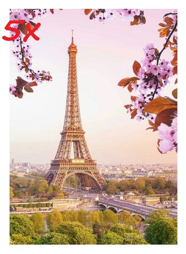 5 AK POSTKARTEN ANSICHTSKARTEN PARIS TOUR EIFFEL SACRE COEUR EIFFELTURM URLAUB ! - Bild 14 von 22