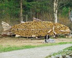 Bild 908 von 1.404