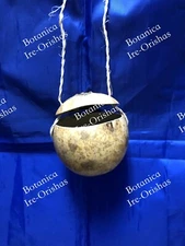 Gourd Guira tintillerro  Higuero IFA santeria religion yoruba