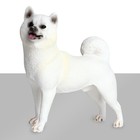 2pcs Solid Static Simulation Animal Model Decoration Decorative Home