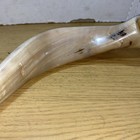 Picture 4 of 8