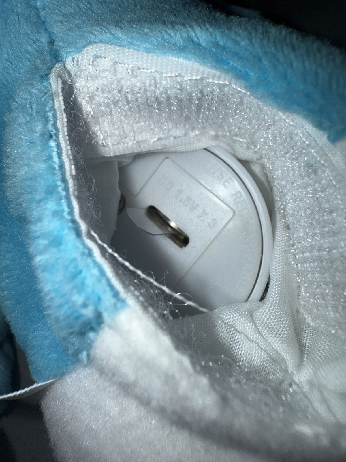 Picture 6 of 8
