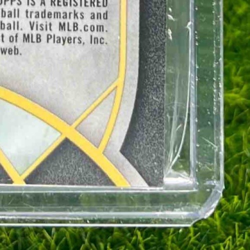 2022 Topps Diamond Icons SPR-VGJ Vladimir Guerrero Jr. Patch 1/10 Blue Jays - Bild 10 von 10