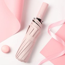 Automatic Rain Umbrella 12 Bone Double Layer Wind Resistant Large Coverage