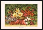 Antique Botanical Print Winter Flowers – London Illustrated Almanac 1867