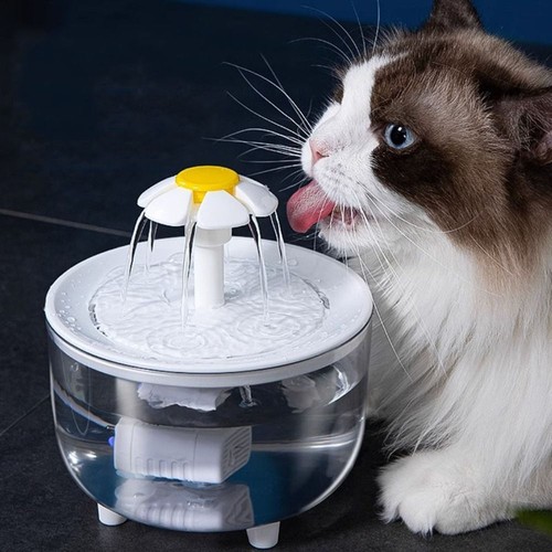 Electric Pet Water Fountain Transparent Cat Water Dispenser Pets Home Alone
