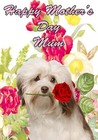 hmd58 Havanese Dog Rose Personalised Greeting Card Birthday Mothers