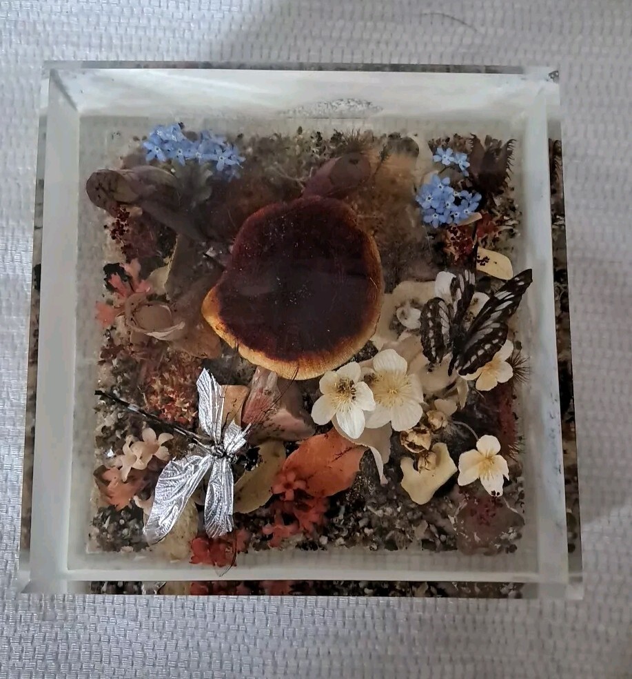 Picture 1 of 12