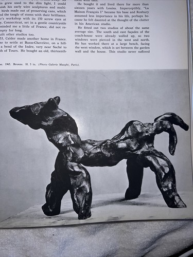 Eine Hommage an Alexander Caulder zum Verkauf von einem hungernden Künstler mit seltener Lithographie - Bild 7 von 9
