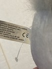 Picture 8 of 9