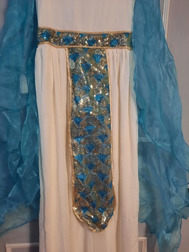 Cleopatra Queen of the Nile Costume Child Size Large 12-14 Spirit Halloween - Picture 2 of 10
