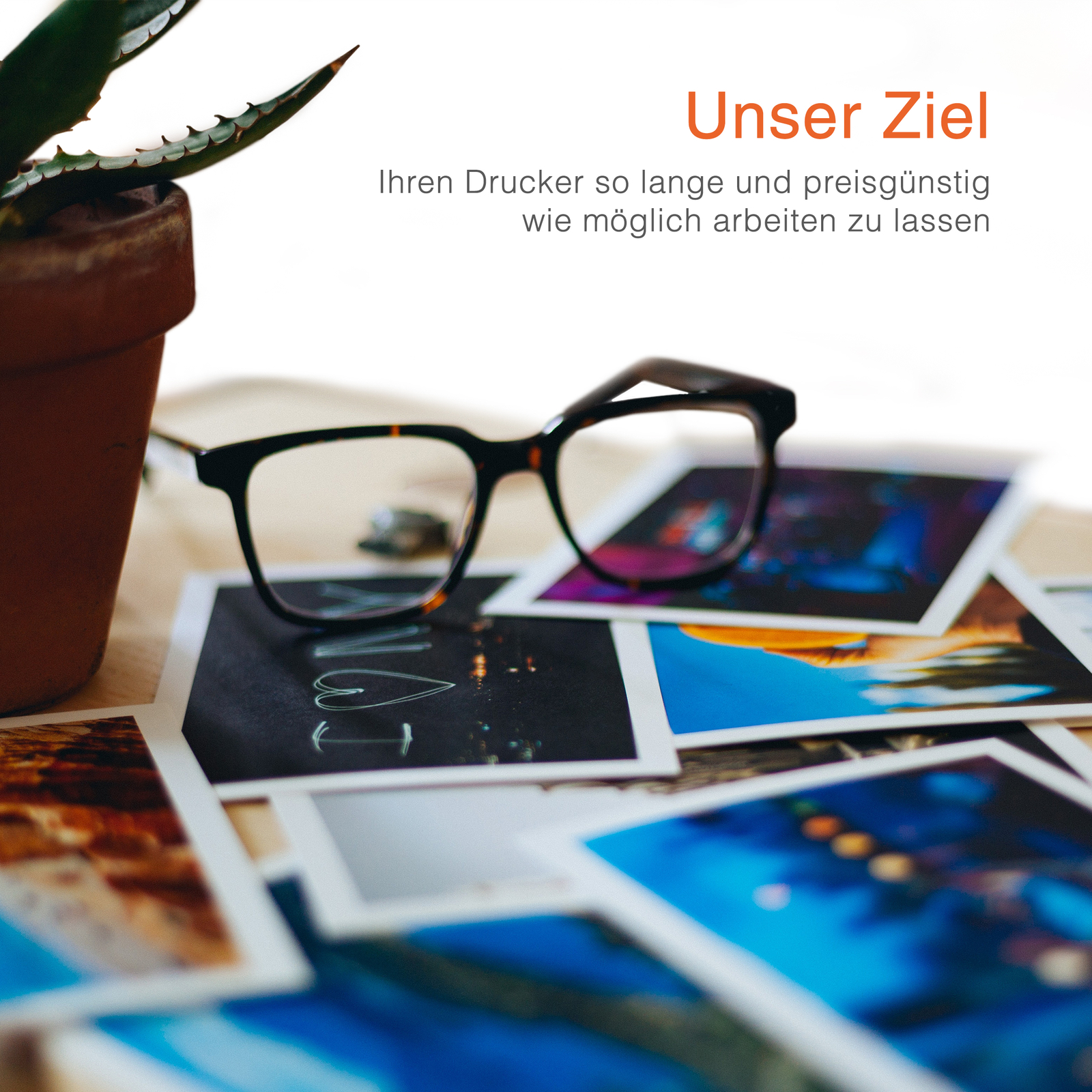 Bild 10 von 12