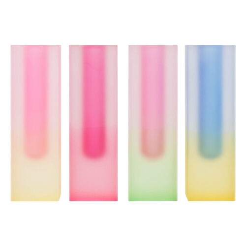 4 Stück Acryl Vase Gradation Blumenvase Moderne Minimalistische Dekorative Vase - Bild 13 von 14