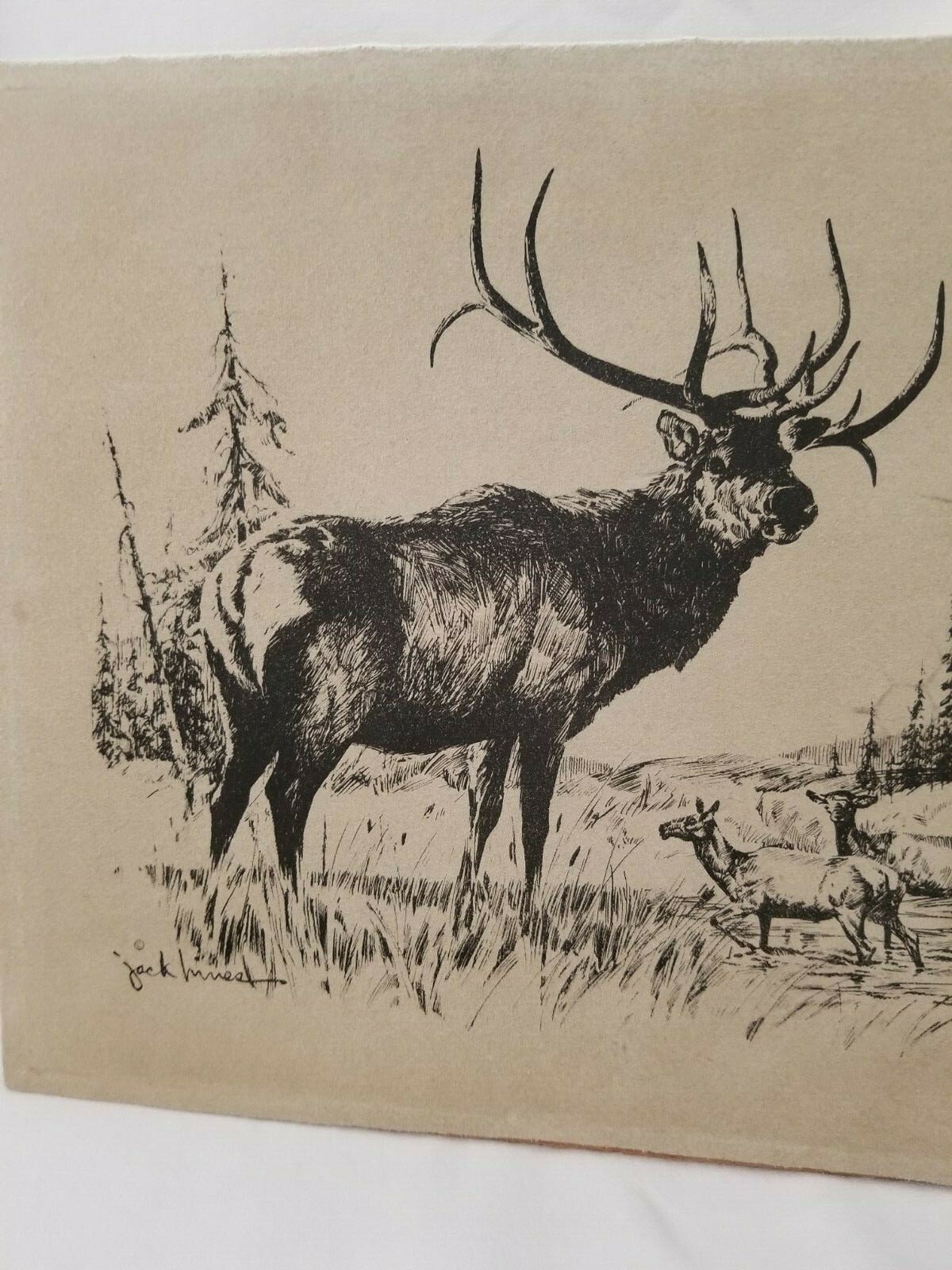 Picture 2 of 6