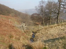 Photo 6x4 Nant Madog, stream Elan Village Nant Madog trickling down from  c2009