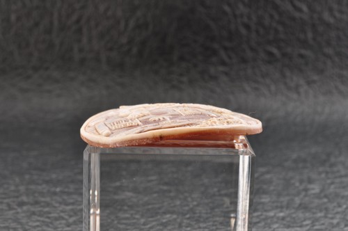 Camafeo vintage concha ovalada "Cosecha de uva" (64,0 quilates) firmado por artista de Japón. - Imagen 7 de 14