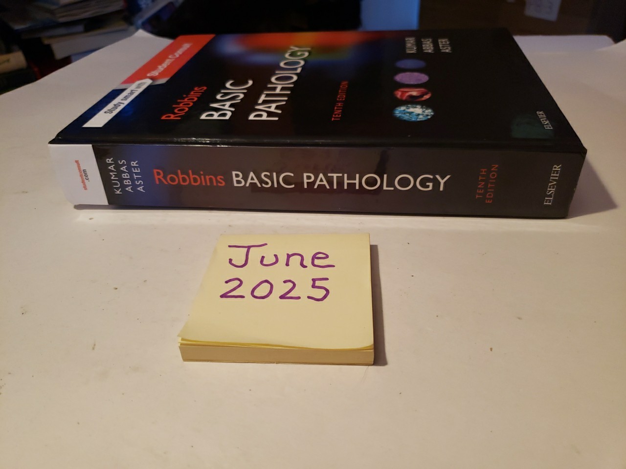 Picture 2 of 24
