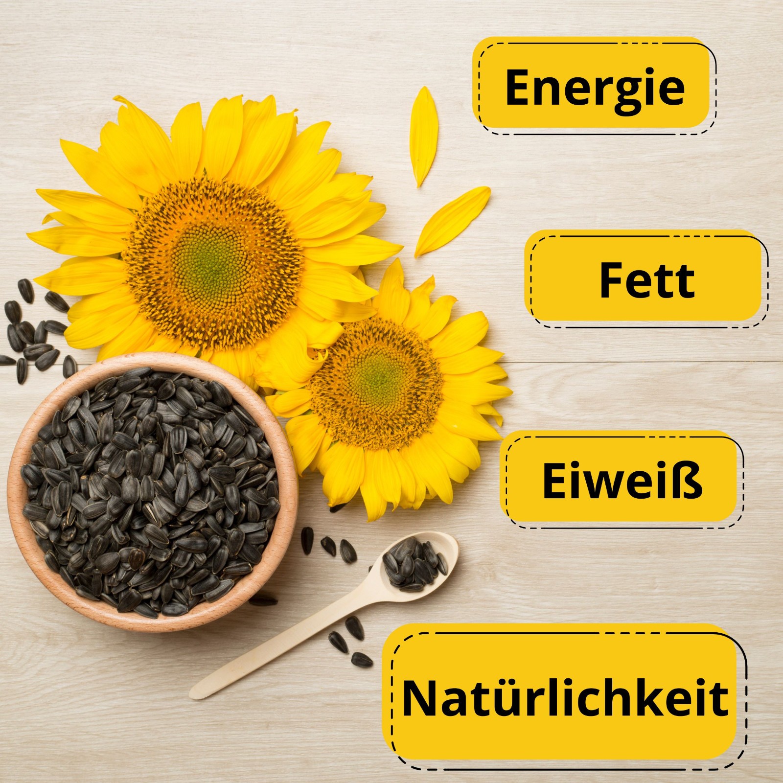 Bild 2 von 8