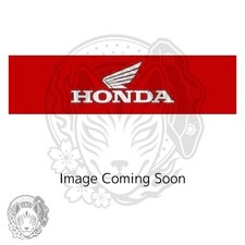 19200-MN8-020 Honda Wasserpumpe 19200MN8020 Neu Original OEM Teil