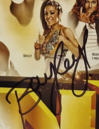 WWE NXT 2015 Poster Signed by Kevin Owens & Bayley - Rare Rookie Era Collectible - Picture 3 of 4