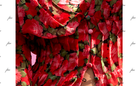 Bild 7 von 15