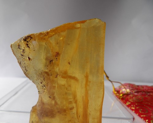 Copal Amber with Insect and Plant Inclusions, Natural Fossil Resin Madagascar - Picture 35 of 41