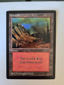 Beta Basic Land | eBay