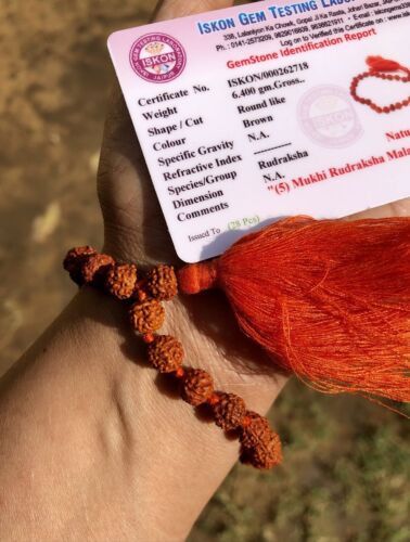 LAB CERTIFIED Natural 5 Mukhi RUDRAKSHA Rudraksh Mala ROSARY 27+1 Prayer Beads O - Picture 2 of 7