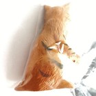 Bild 3 von 4