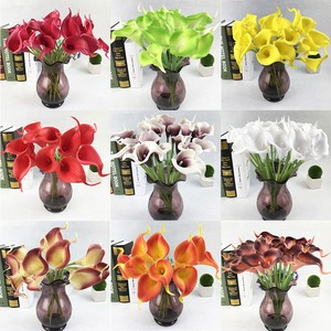 latex calla lily favor flowers Catherine heigl pussy pics