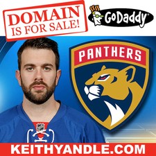 KEITH YANDLE .COM - Coyotes Rangers Panthers - Hockey NHL Domain Name - GoDaddy