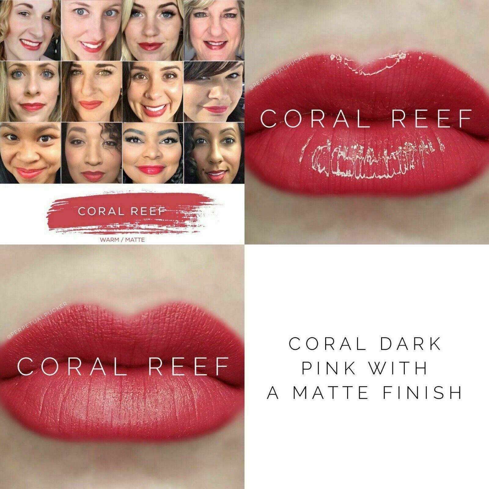 💰 **TESTERS** LIPSENSE *BROKEN SEALS* 90% FULL SeneGence OVER 6,000 SOLD - Picture 81 of 378