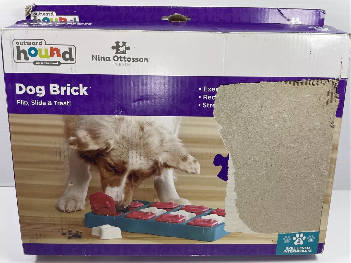Outward Hound Nina Ottosson Brick Interactive Puzzle Game Dog Toy