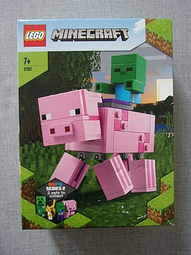 LEGO Minecraft - verschiedene Sets zum aussuchen - Neu - Bild 22 von 58